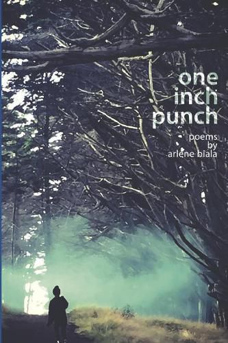 Cover image for One Inch Punch