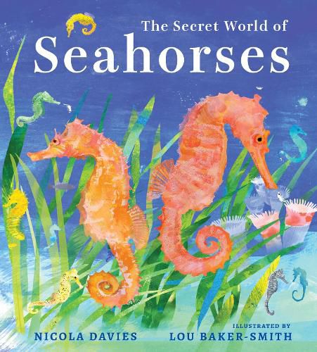 Cover image for The Secret World of Seahorses