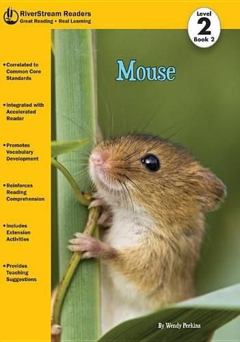 Cover image for Mouse