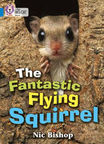 Cover image for The Fantastic Flying Squirrel: Band 04/Blue