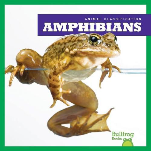 Cover image for Amphibians