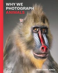 Cover image for Why We Photograph Animals