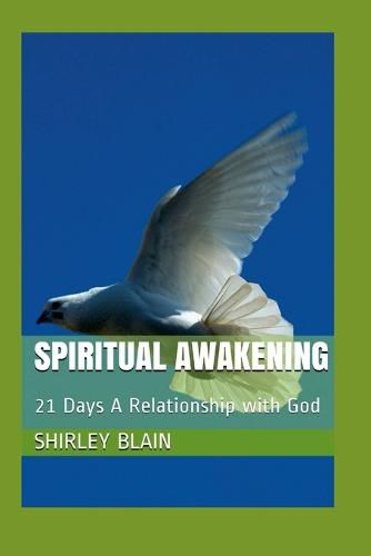 Cover image for Spiritual Awakening