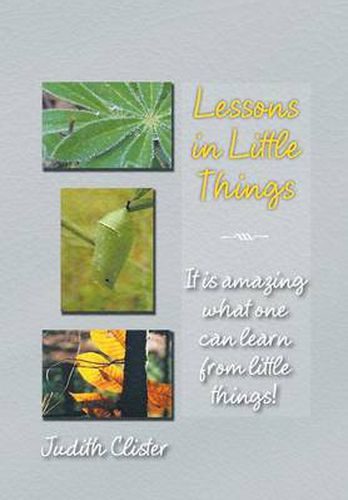 Cover image for Lessons in Little Things: It Is Amazing What One Can Learn from Little Things!