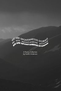 Cover image for We Are Spontaneous Storms