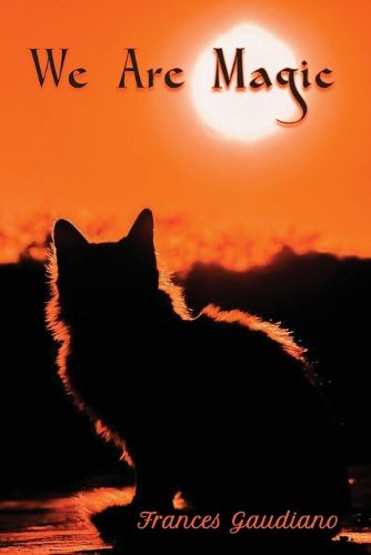 Cover image for We are Magic