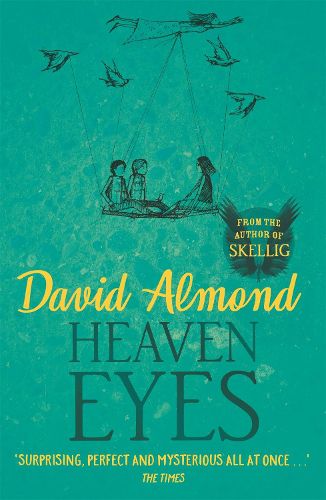 Cover image for Heaven Eyes