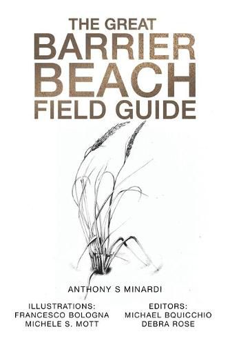 Cover image for The Great Barrier Beach Field Guide