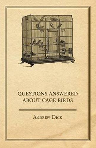 Cover image for Questions Answered About Cage Birds