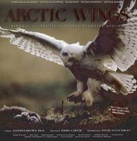 Cover image for Arctic Wings: Birds of the Arctic National Wildlife Refuge