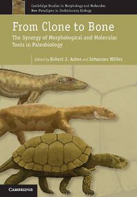 Cover image for From Clone to Bone: The Synergy of Morphological and Molecular Tools in Palaeobiology