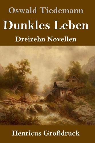 Cover image for Dunkles Leben (Grossdruck): Dreizehn Novellen