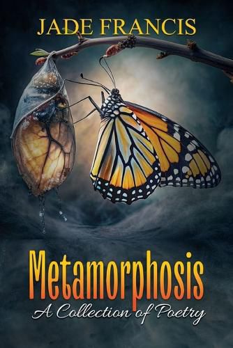 Cover image for Metamorphosis