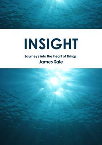 Cover image for Insight