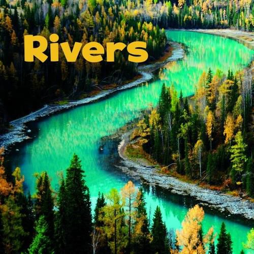 Cover image for Rivers