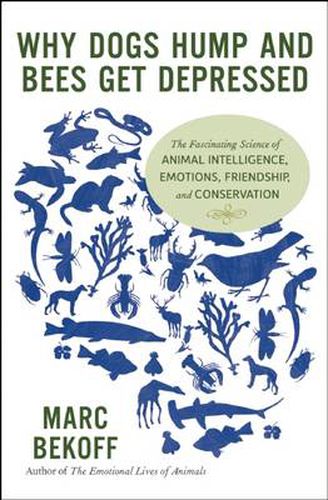 Cover image for Why Dogs Hump and Bees Get Depressed: The Fascinating Science of Animal Intelligence, Emotions, Friendship, and Conservation