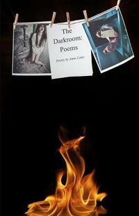 Cover image for The Darkroom: Poems