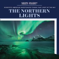 Cover image for The Northern Lights