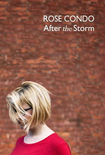 Cover image for After the Storm