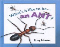 Cover image for An Ant?