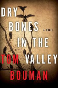 Cover image for Dry Bones in the Valley: A Novel