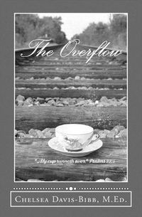 Cover image for The Overflow