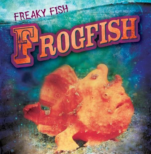 Cover image for Frogfish