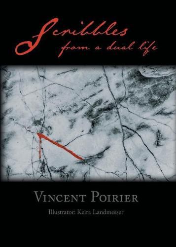 Cover image for Scribbles from a dual life