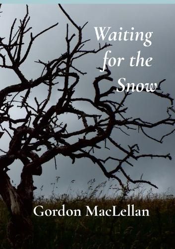 Cover image for Waiting for the Snow