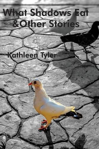 Cover image for What Shadows Eat