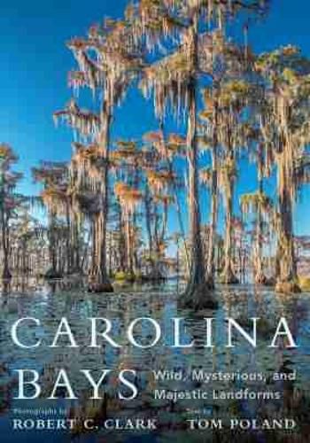Cover image for Carolina Bays: Wild, Mysterious, and Majestic Landforms