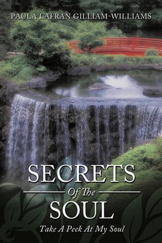 Cover image for Secrets of the Soul