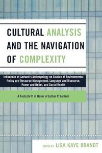 Cover image for Cultural Analysis and the Navigation of Complexity