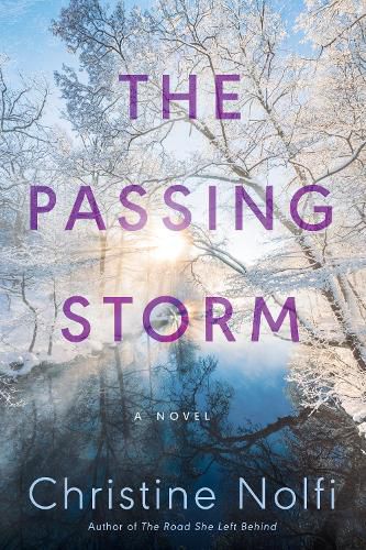 The Passing Storm: A Novel