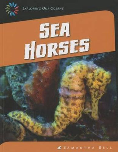 Cover image for Sea Horses