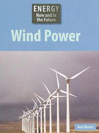 Cover image for Wind Power