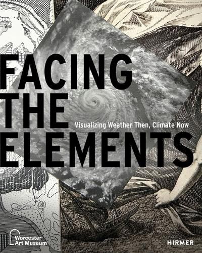 Cover image for Facing the Elements