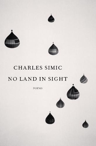 No Land in Sight: Poems