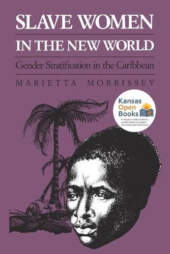 Cover image for Slave Women in the New World: Gender Stratification in the Caribbean