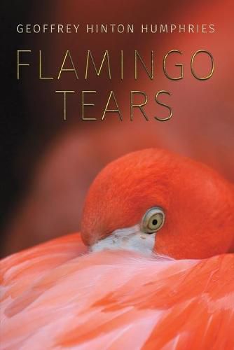 Cover image for Flamingo Tears