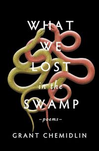 Cover image for What We Lost in the Swamp