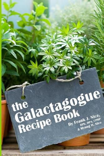 Cover image for The Galactagogue Recipe Book