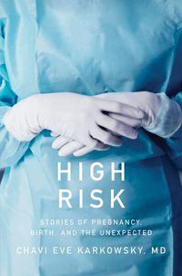 Cover image for High Risk: Stories of Pregnancy, Birth, and the Unexpected