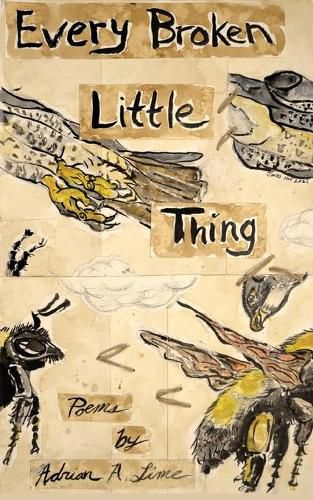 Cover image for Every Broken Little Thing