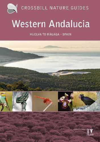 Cover image for Western Andalucia