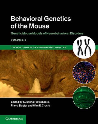 Cover image for Behavioral Genetics of the Mouse: Volume 2, Genetic Mouse Models of Neurobehavioral Disorders