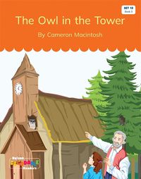 Cover image for The Owl in the Tower (Set 13, Book 3)