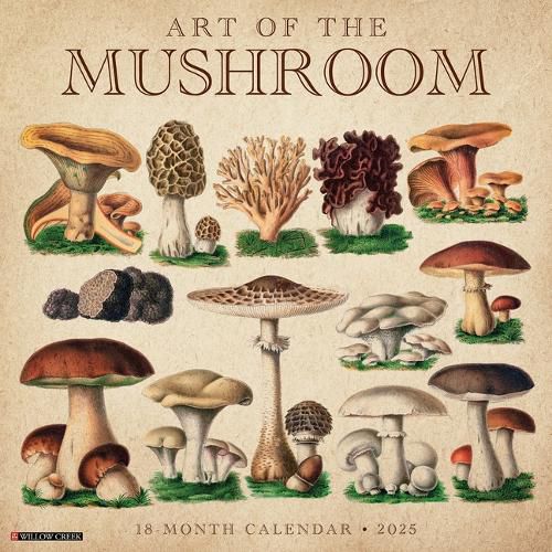 Cover image for Art of the Mushroom 2026 12 X 12 Wall Calendar