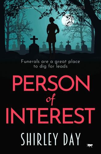 Cover image for Person of Interest