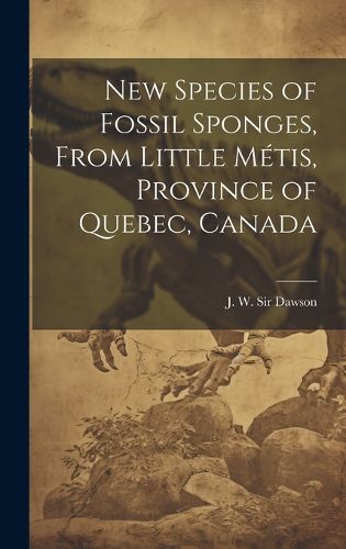 Cover image for New Species of Fossil Sponges, From Little Metis, Province of Quebec, Canada